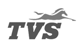 TVS